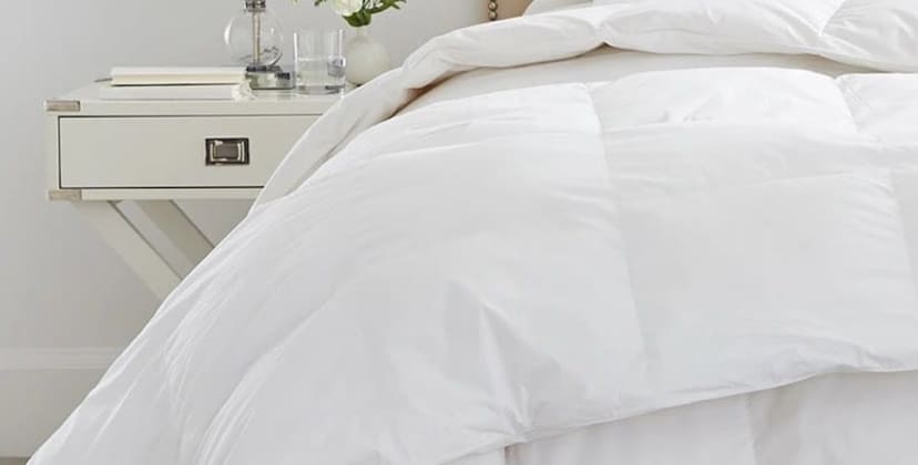 Boll & Branch Down Duvet Insert