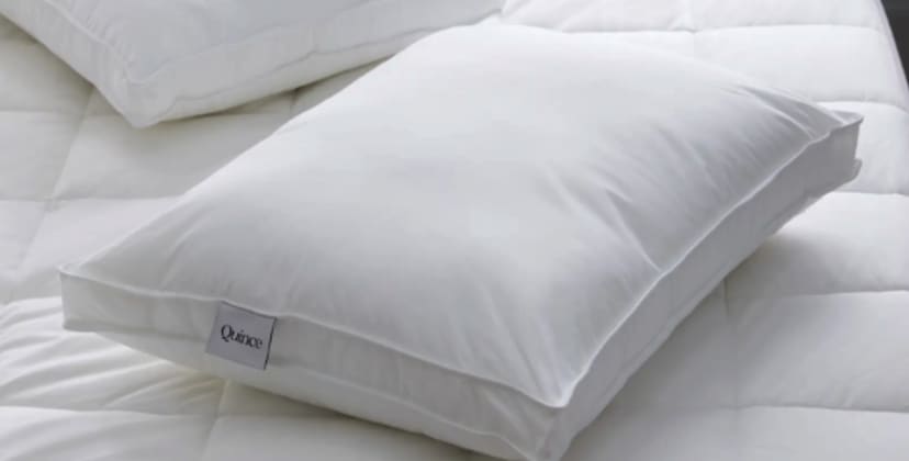 Brand image of Quince Premium Down Alternative Gusset Pillow