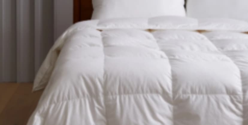 Quince Premium Down Comforter