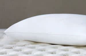 Saatva Down Alternative Pillow