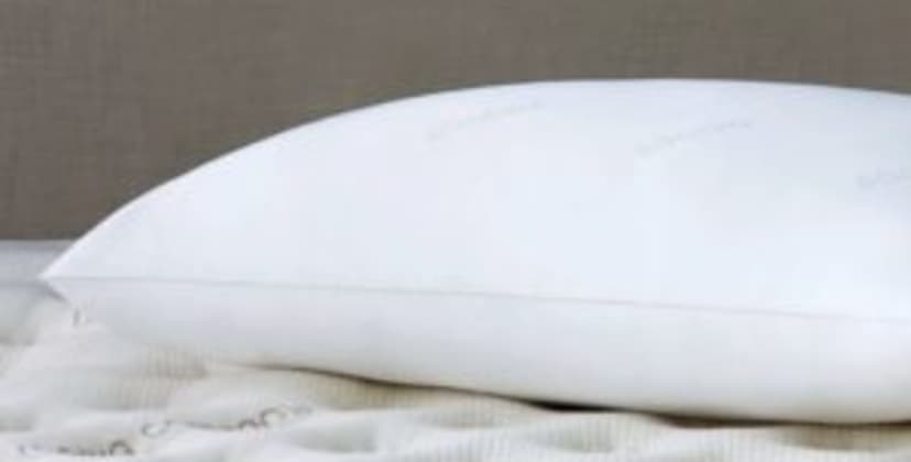 Saatva Down Alternative Pillow