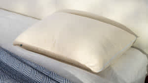 Birch Organic Pillow