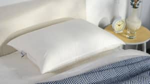 Quince Luxe Goose Down Pillow