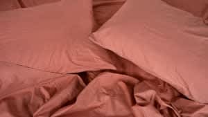 Silk & Snow Percale Sheets