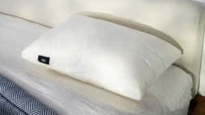 Silk & Snow Pillow