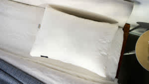 Silk & Snow Pillow