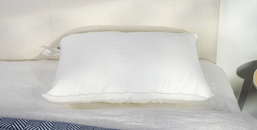 A picture of the Sweet Zzz Plant-Based Pillow in Sleep Foundation's test lab.