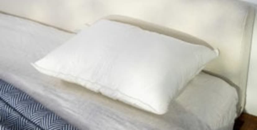 Sweet Zzz Plant-Based Pillow