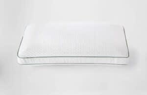 Silk & Snow Eco Soy Pillow