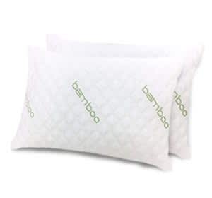 Sleepsia IK Bamboo Pillow