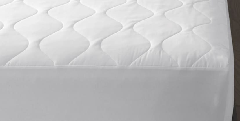 Product page photo of The Company Store Company Cotton Mattress Pad