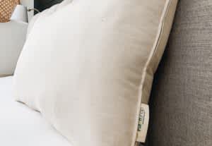 The Futon Shop Organic Wool & Buckwheat Pillow