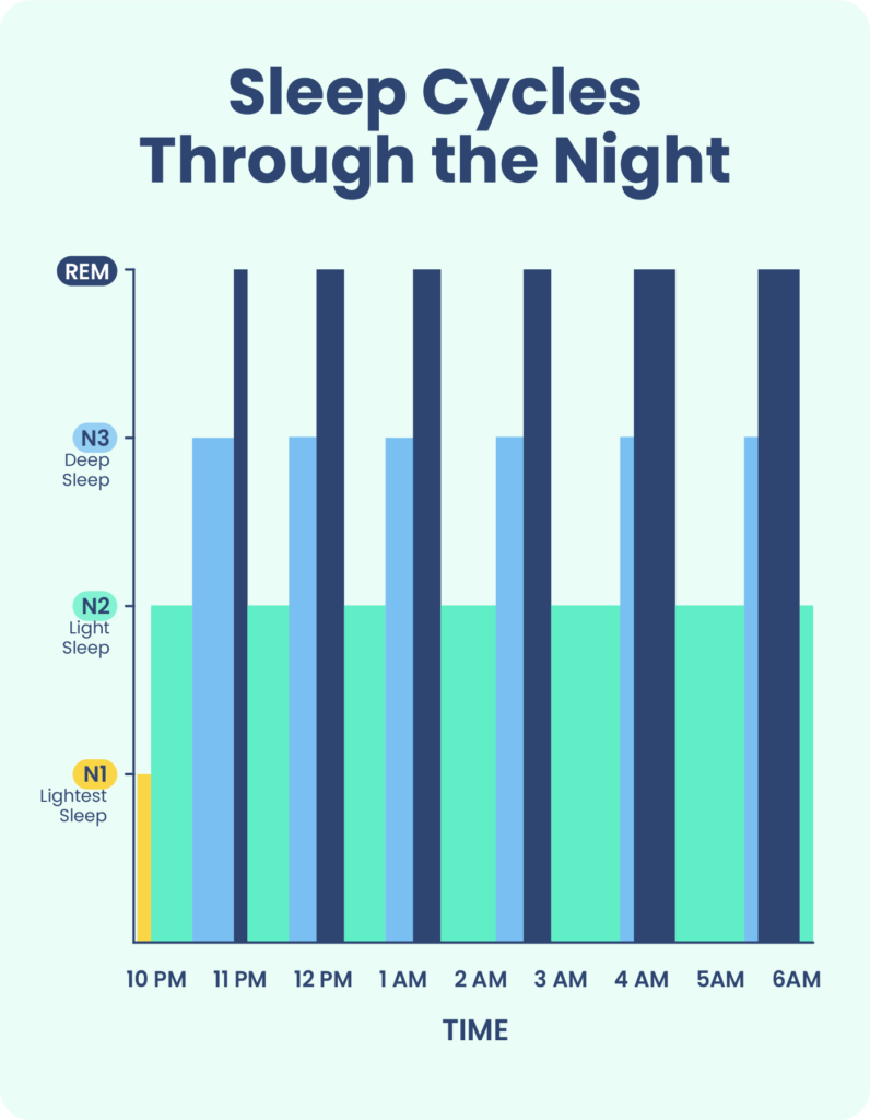 Graph showing how the sleep cycle changes during the night. 